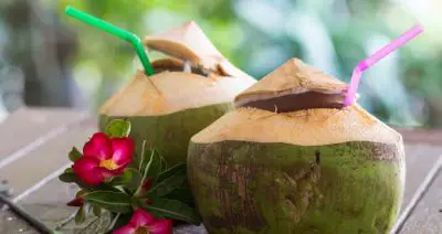 kokosnoot dieet
