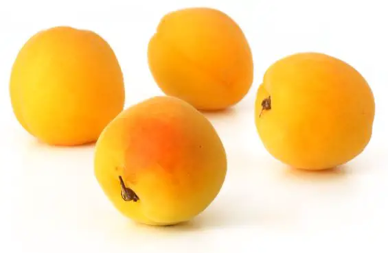 abrikozen beste fruitsoorten deel 2