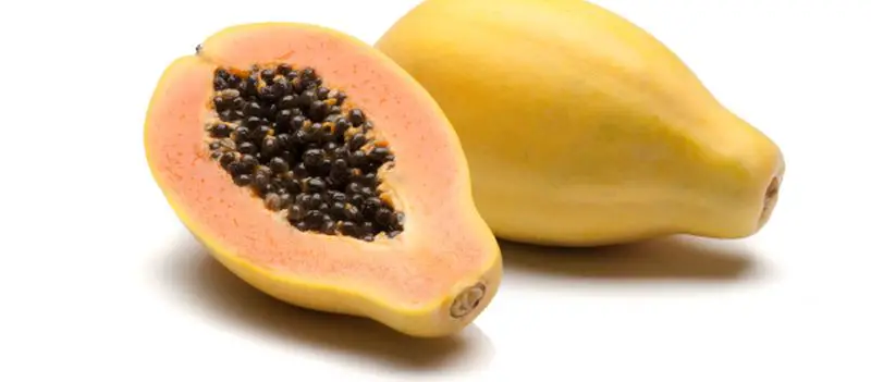 papaja beste fruitsoorten deel 3